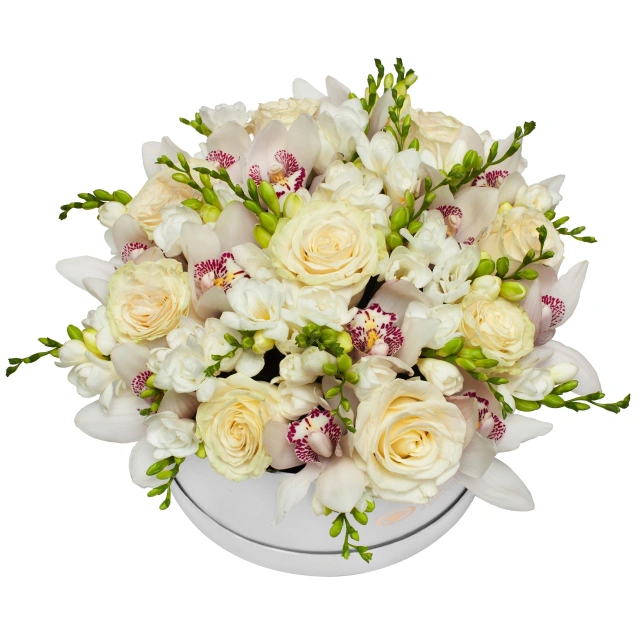 Flower Box LUX